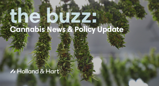 the buzz: Cannabis News & Policy Update | September 2026