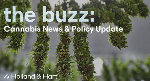 the buzz: Cannabis News & Policy Update | April 2025